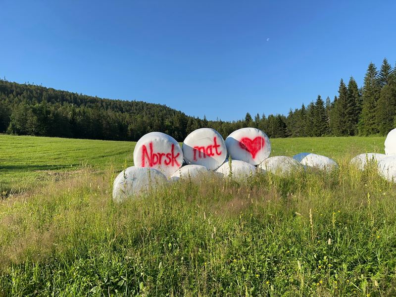 Rundballer det er skrevet norsk mat med hjerte bak